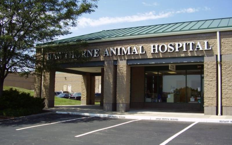 Find Pet Care Information and Veterinarians in Red-bridge, Missouri