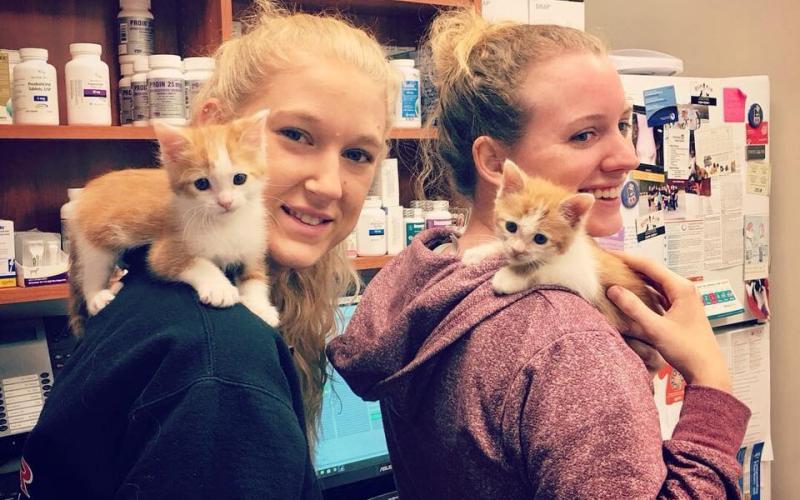 Find Pet Care Information and Veterinarians in Westchester, Virginia Find Pet Care Information and Veterinarians in Westchester, Virginia