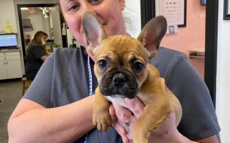 Find Pet Care Information and Veterinarians in Hunter, Texas Find Pet Care Information and Veterinarians in Hunter, Texas