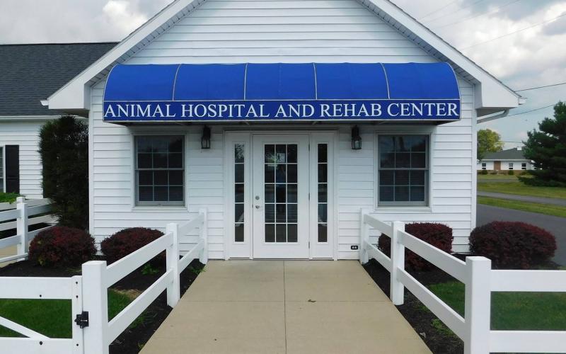 Find Pet Care Information and Veterinarians in Tiffin, Ohio