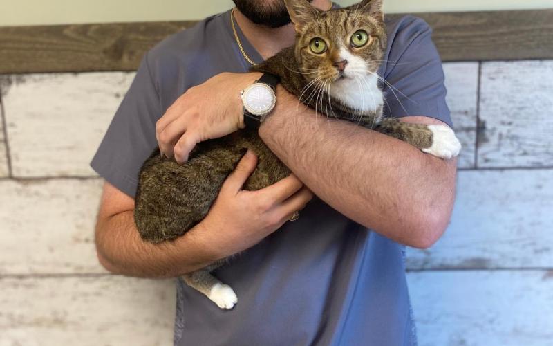 Find Pet Care Information and Veterinarians in Carriage-hill, Alabama Find Pet Care Information and Veterinarians in Carriage-hill, Alabama