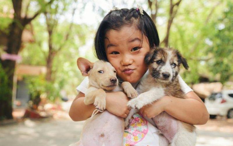Find Pet Care Information and Veterinarians in Palo-alto-park, Texas Find Pet Care Information and Veterinarians in Palo-alto-park, Texas