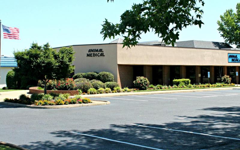 abington animal hospital fax number