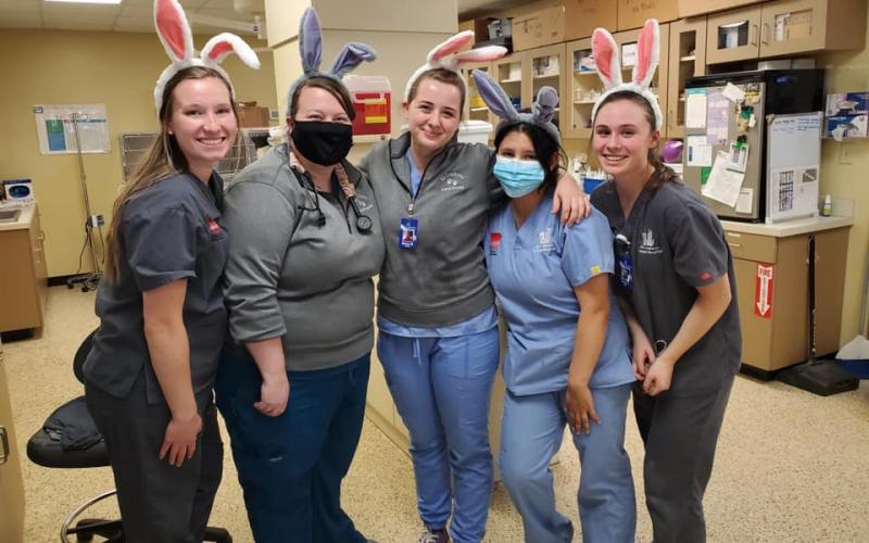 Find Pet Care Information and Veterinarians in Three-springs, Kentucky Find Pet Care Information and Veterinarians in Three-springs, Kentucky