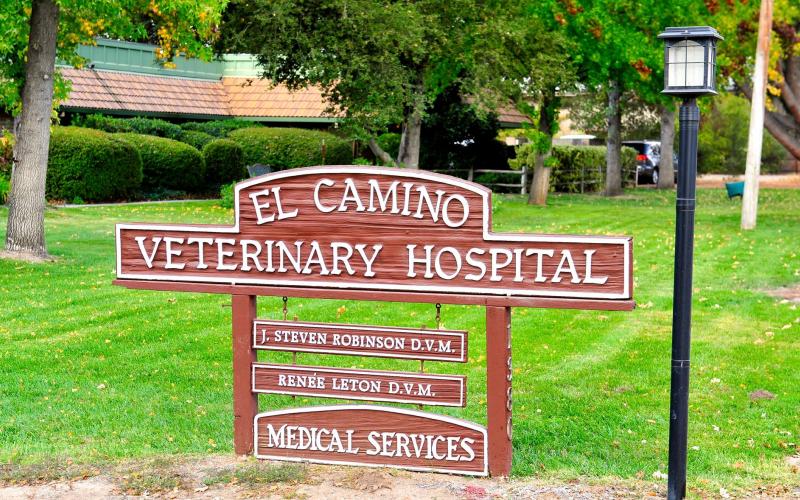 Find Pet Care Information and Veterinarians in Paso-robles, California Find Pet Care Information and Veterinarians in Paso-robles, California