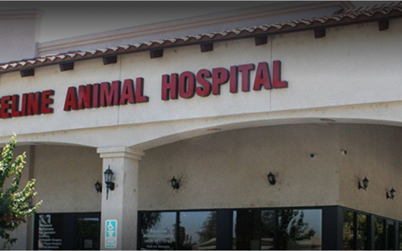 Baseline Animal Hospital – Rancho Cucamonga, CA