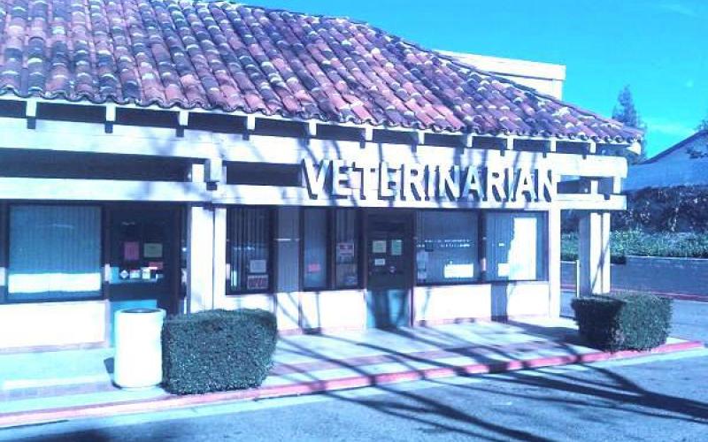 Pet Clinic near Riverside, CA