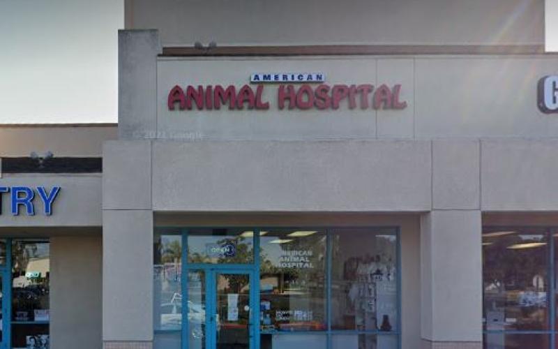 Emergency Vet Near Me Open On Sunday Deals 1692669914 49 OFF