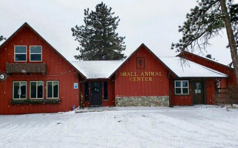 Find Pet Care Information and Veterinarians in Woodland-park, Colorado Find Pet Care Information and Veterinarians in Woodland-park, Colorado