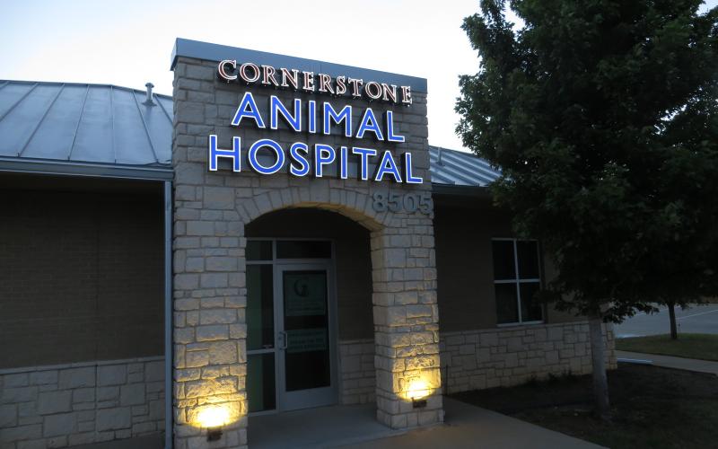 Find Pet Care Information and Veterinarians in Watauga, Texas