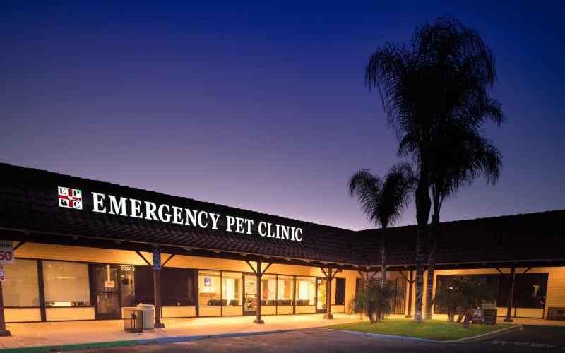 Find Pet Care Information and Veterinarians in Lakeelsinore, California