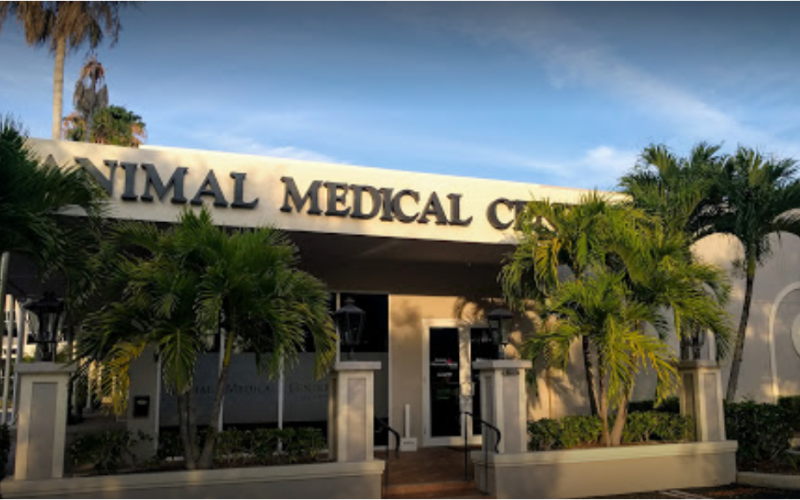 Find Pet Care Information and Veterinarians in Paradise-port, Florida