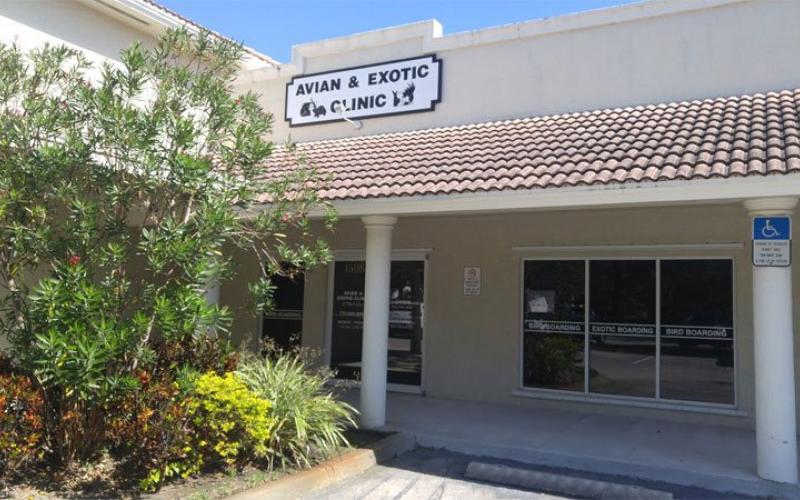 Find Pet Care Information and Veterinarians in Lighthouse-point, Florida Find Pet Care Information and Veterinarians in Lighthouse-point, Florida