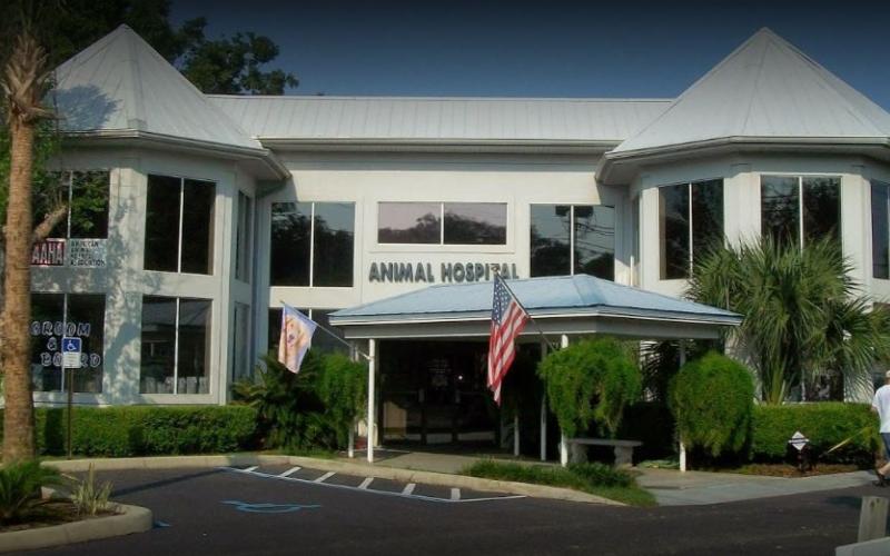 Animal Hospital Of Pensacola : Animal Hospital Pensacola Florida East