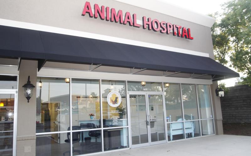 Pet clinic игра. Pet clinic игра. Pet clinic игра. The animal hospital 4 класс spotlight. The animal hospital.