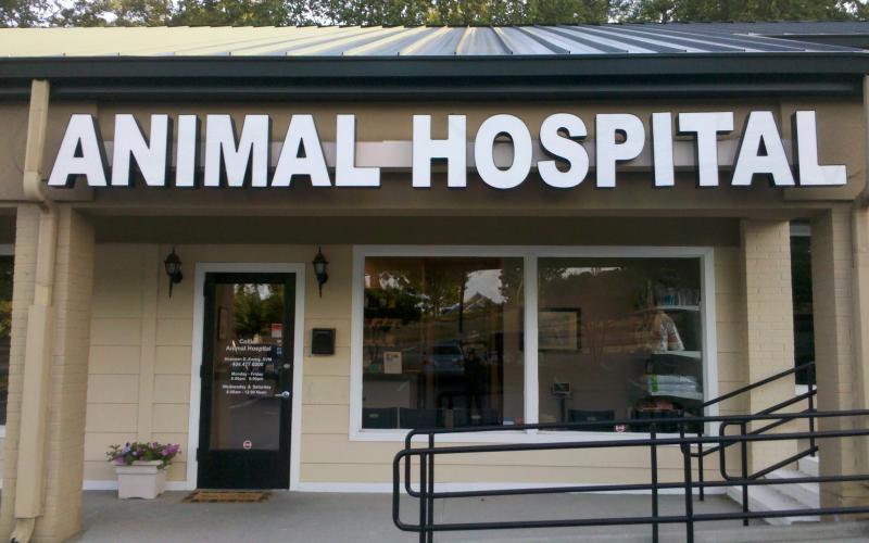 north hills animal hospital atlanta
