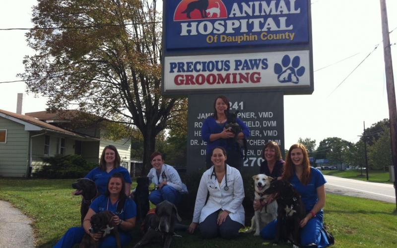 Find Pet Care Information and Veterinarians in Long-lane-acres, Pennsylvania Find Pet Care Information and Veterinarians in Long-lane-acres, Pennsylvania
