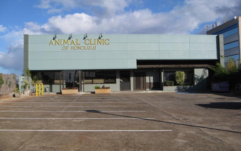 Find Pet Care Information and Veterinarians in Wai-kahala, Hawaii