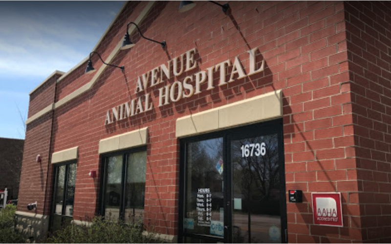 Find Pet Care Information and Veterinarians in Fernway, Illinois