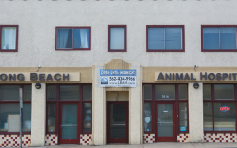 Long beach emergency animal hospital on sale