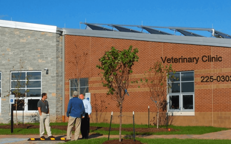 Find Pet Care Information and Veterinarians in Yarnallton, Kentucky