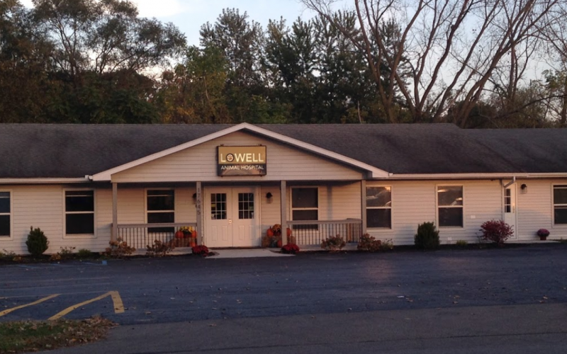 Find Pet Care Information And Veterinarians In Lowell Indiana