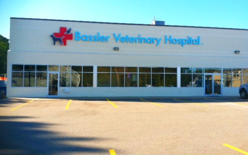amesbury animal hospital phone number
