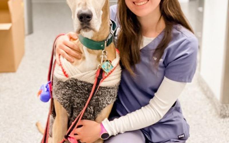 Find Pet Care Information and Veterinarians in Snowden, South-carolina Find Pet Care Information and Veterinarians in Snowden, South-carolina
