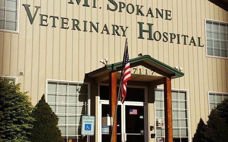 Find Pet Care Information and Veterinarians in Mead, Washington