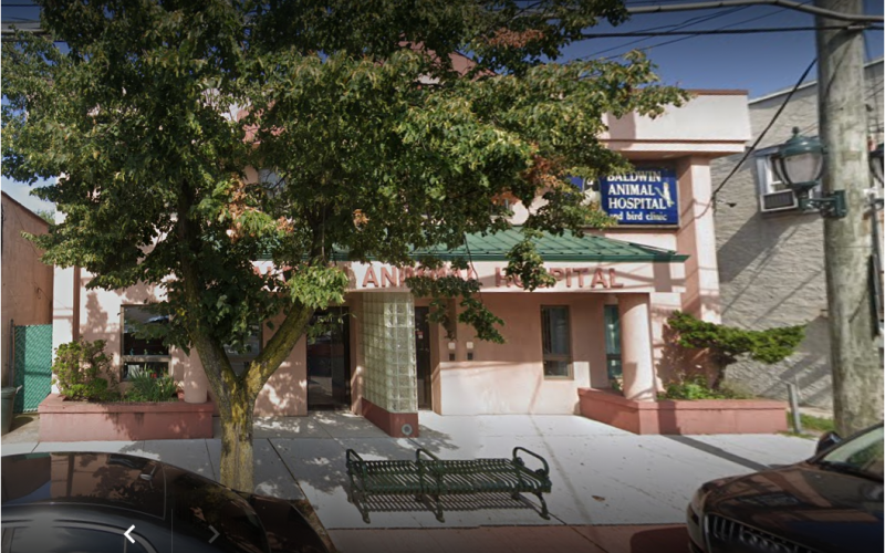 Find Pet Care Information and Veterinarians in Freeport, New-york