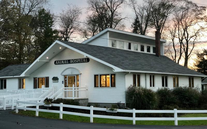 Find Pet Care Information and Veterinarians in Liberty, New-york Find Pet Care Information and Veterinarians in Liberty, New-york