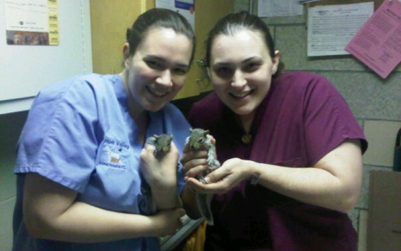 Find Pet Care Information and Veterinarians in Ridgewood, New-york Find Pet Care Information and Veterinarians in Ridgewood, New-york