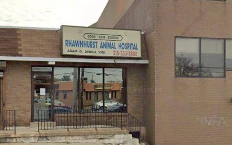 Find Pet Care Information and Veterinarians in Mayfair, Pennsylvania