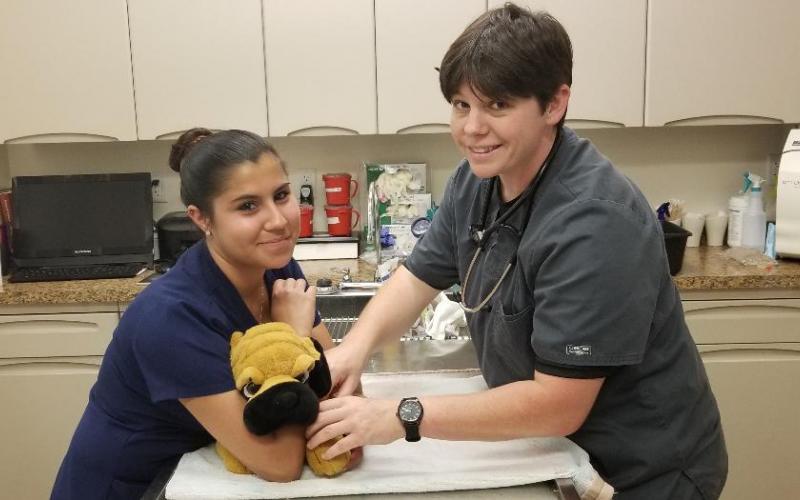 Find Pet Care Information And Veterinarians