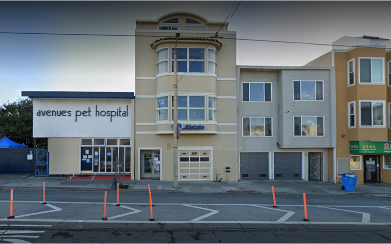 Sf healthy best sale pets