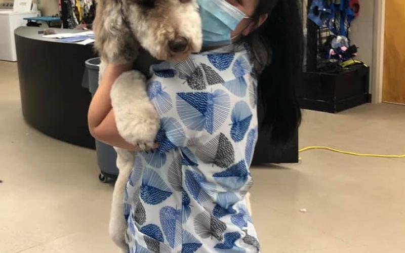 Find Pet Care Information and Veterinarians in Gaffney, South-carolina Find Pet Care Information and Veterinarians in Gaffney, South-carolina