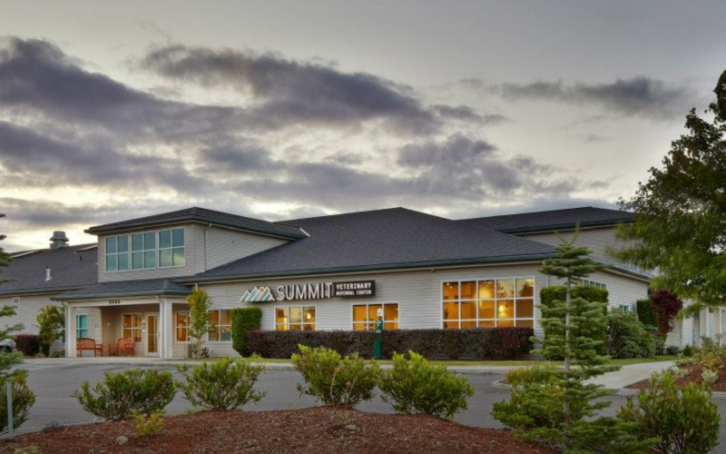 Find Pet Care Information and Veterinarians in Spanaway, Washington Find Pet Care Information and Veterinarians in Spanaway, Washington