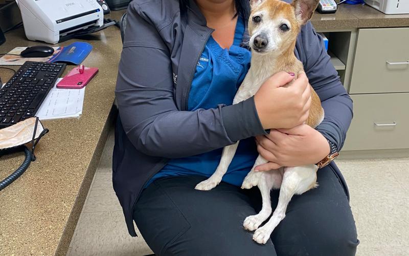 Find Pet Care Information and Veterinarians in Idlewild, Ohio Find Pet Care Information and Veterinarians in Idlewild, Ohio