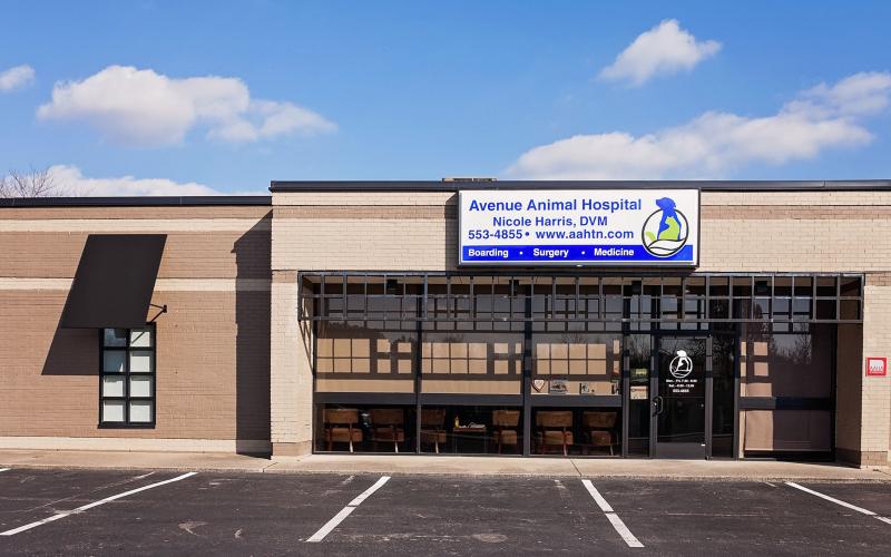 Find Pet Care Information and Veterinarians in Hillview, Tennessee Find Pet Care Information and Veterinarians in Hillview, Tennessee