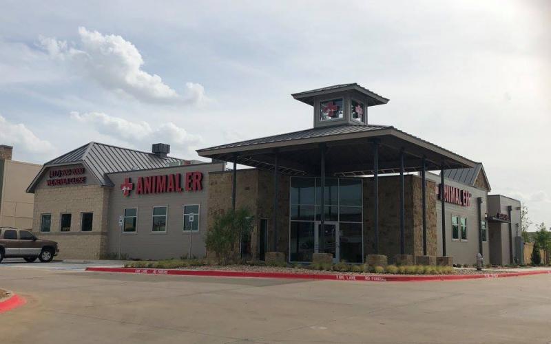 Find Pet Care Information and Veterinarians in Oak-grove, Texas