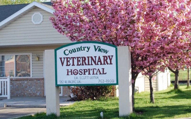 Find Pet Care Information and Veterinarians in American-fork, Utah