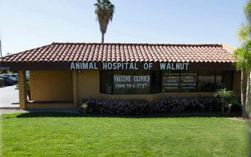 Find Pet Care Information and Veterinarians in Otterbein, California Find Pet Care Information and Veterinarians in Otterbein, California