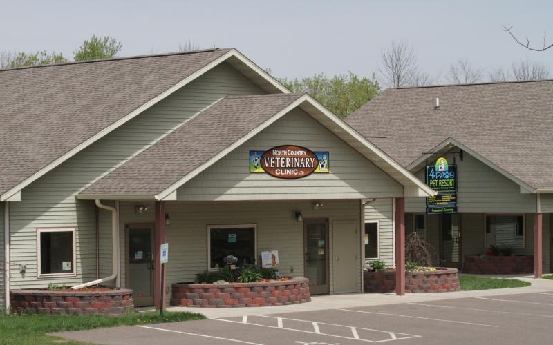 Find Pet Care Information and Veterinarians in Phillips, Wisconsin