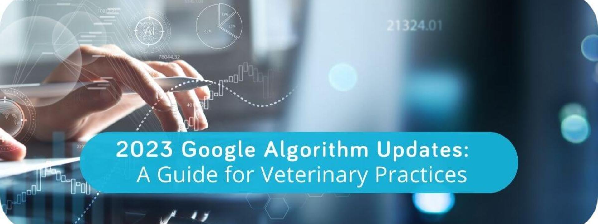 2023 Google Algorithm Updates: A Guide for Veterinary Practices