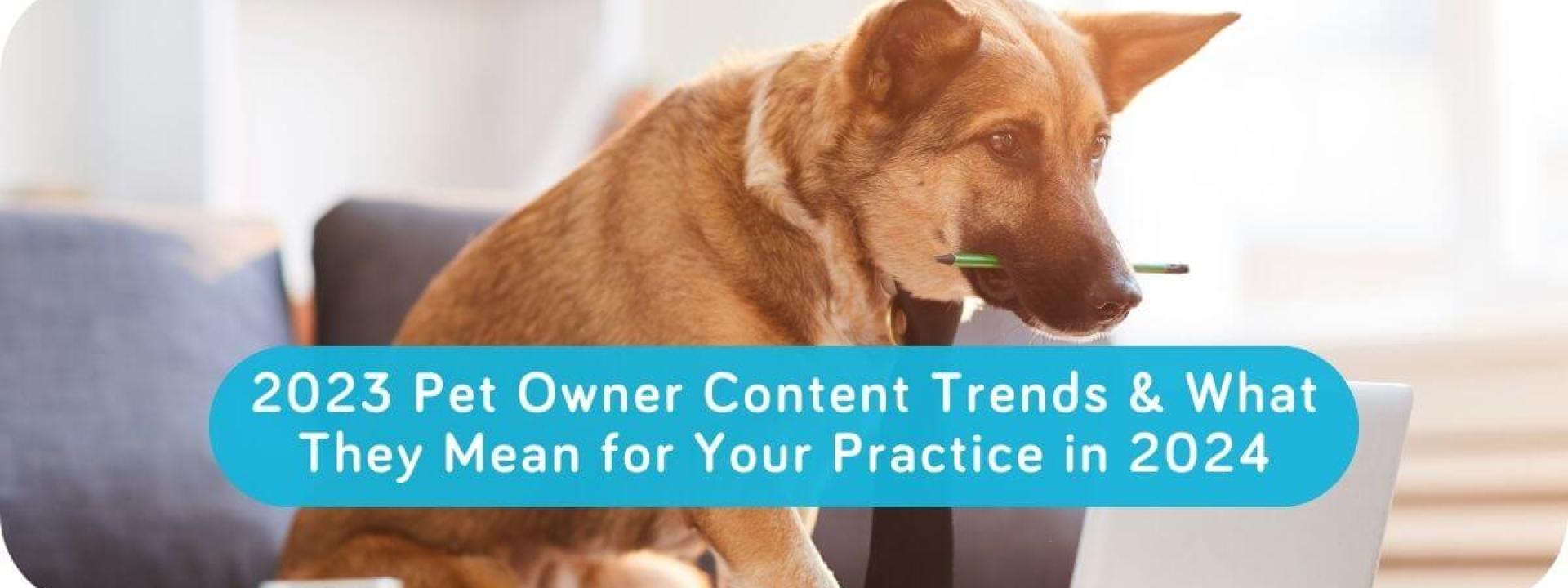 2023 Pet Owner Content Trends & What They Mean for Your Practice in 2024