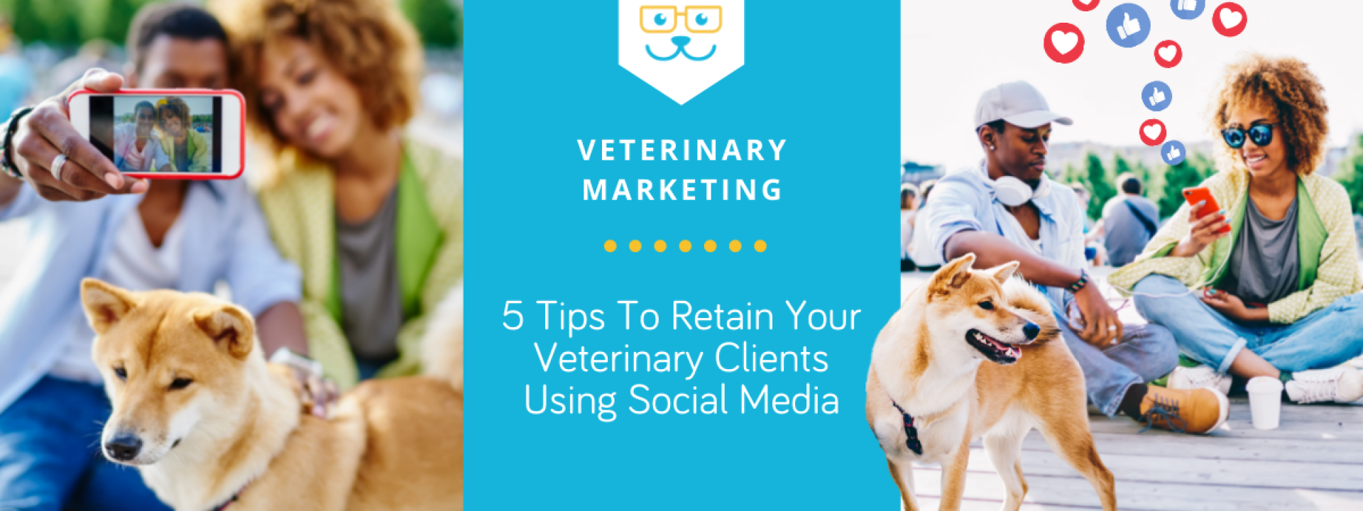 5 Tips To Retain Your Veterinary Clients Using Social Media
