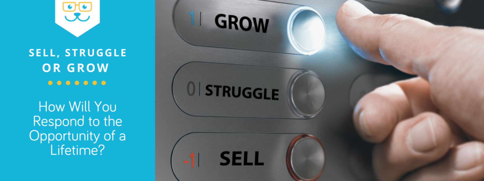 Sell, Struggle, or Grow - How Will You Respond to the Opportunity of a Lifetime?