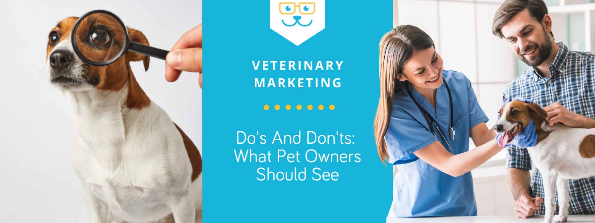 What Pet Owners Should See