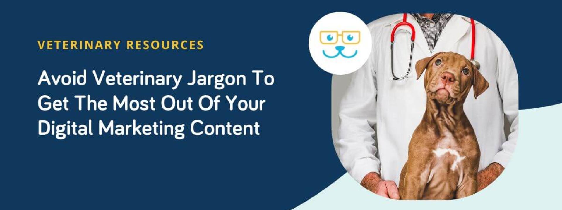 Avoid Veterinary Jargon To Get The Most Out Of Your Digital Marketing Content