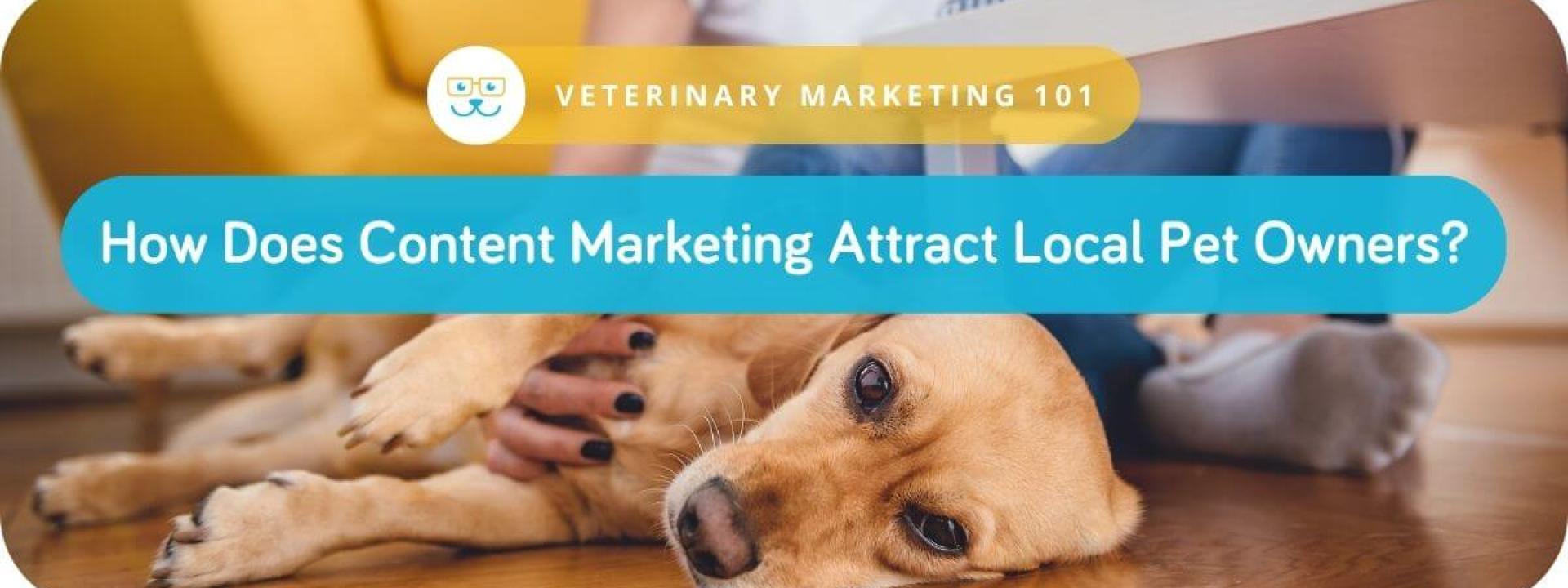 Veterinary Marketing 101: How Does Content Marketing Attract Local Pet Owners?